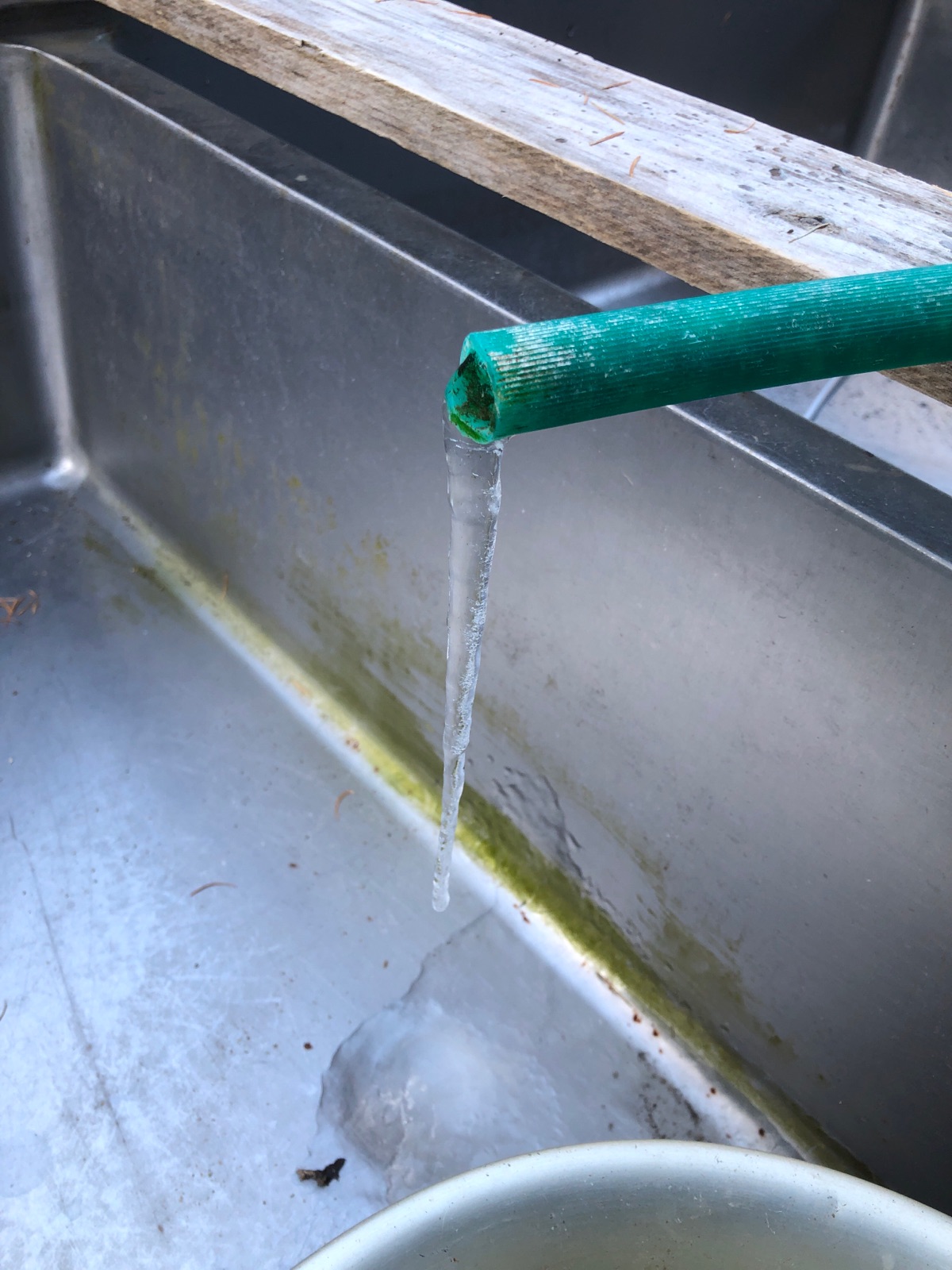 サンプル