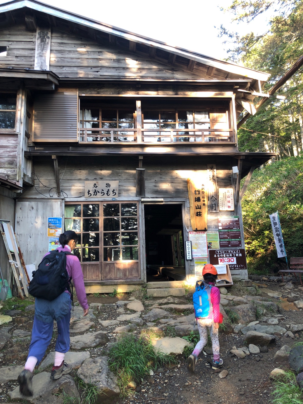 サンプル
