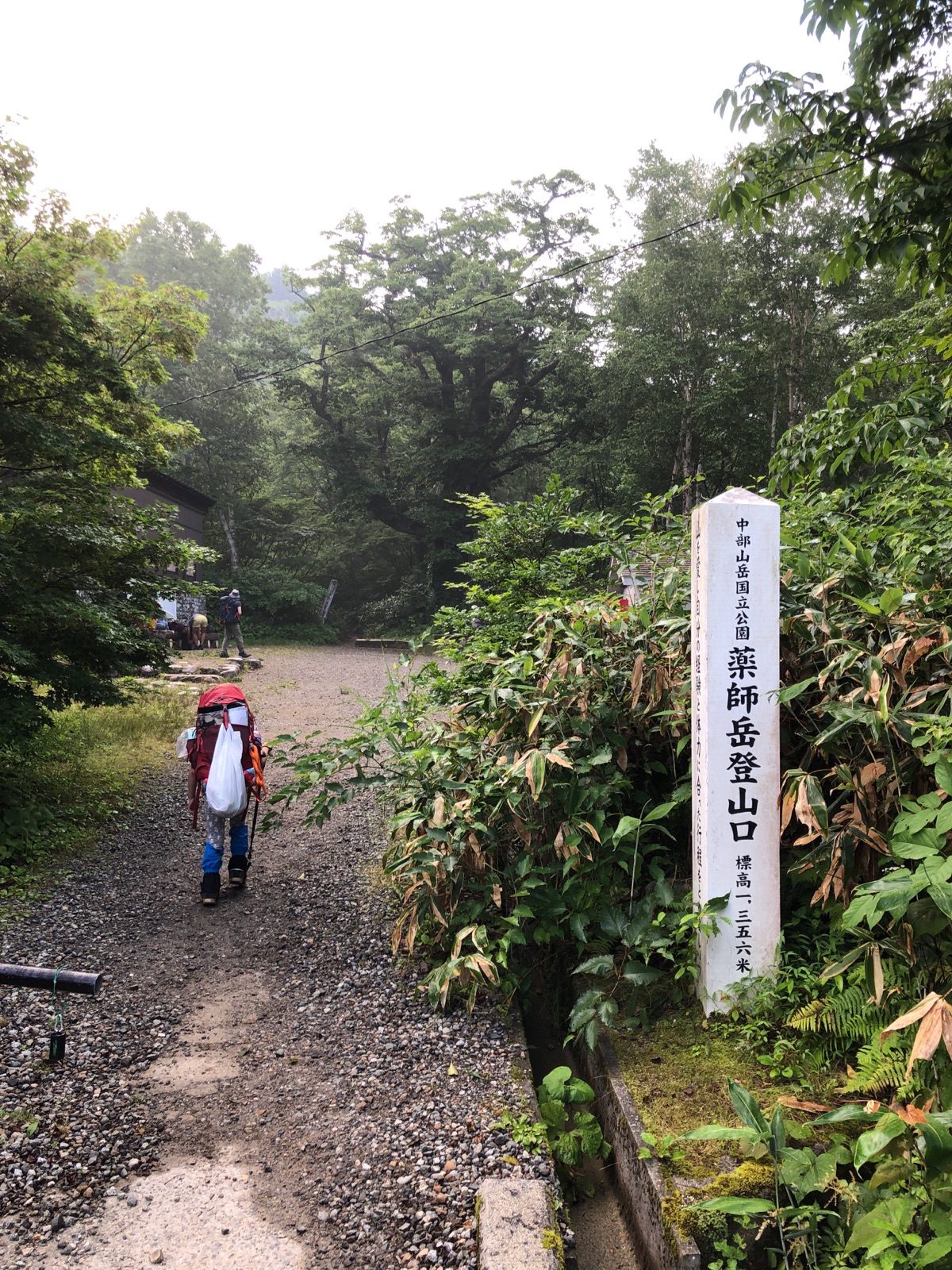 サンプル